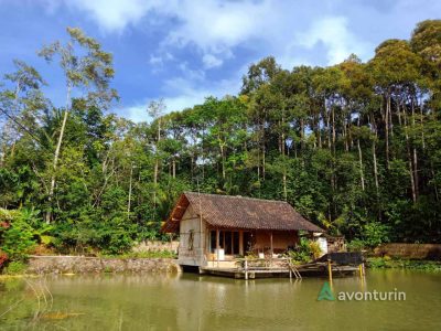 Suhita Bee Farm - peternakan lebah - IMG20201004081356