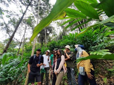 Pesawaran Green Tour Package - Paket wisata hijau ekowisata - avonturin.id - 5